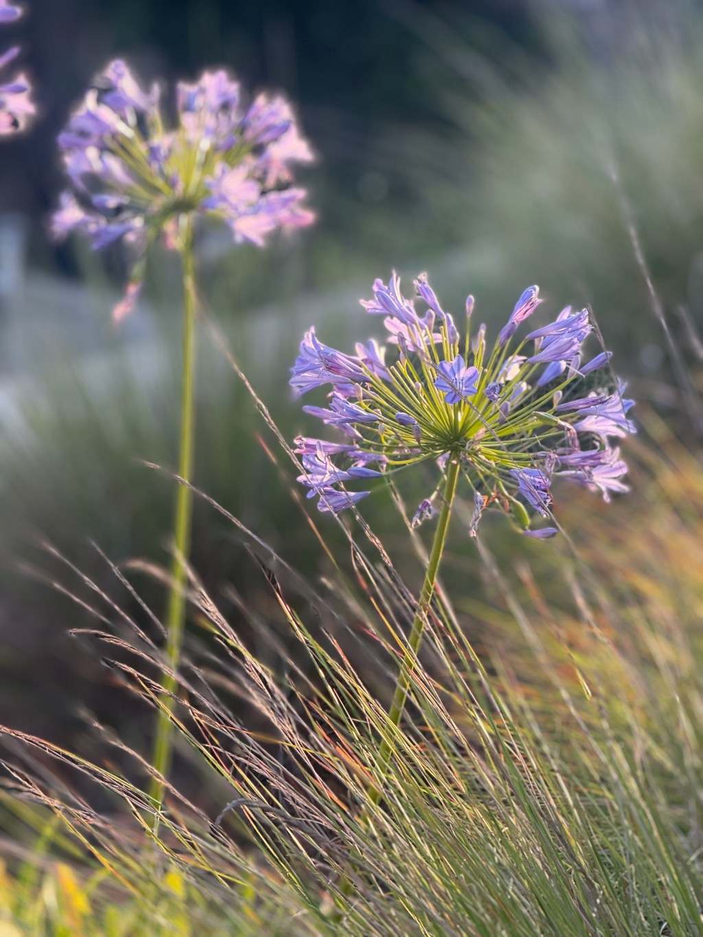 Beginning at the&nbsp;end